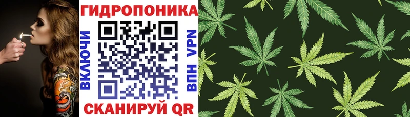 Где купить Жуковка COCAIN  Героин  Мефедрон  ГАШ  кракен ТОР  Марихуана 