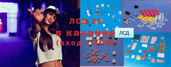 шишки Богородицк