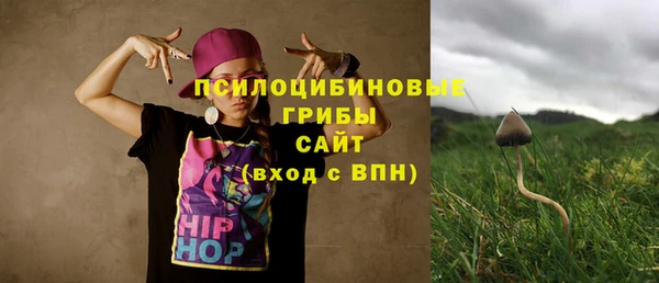 ГАЛЛЮЦИНОГЕННЫЕ ГРИБЫ Богданович