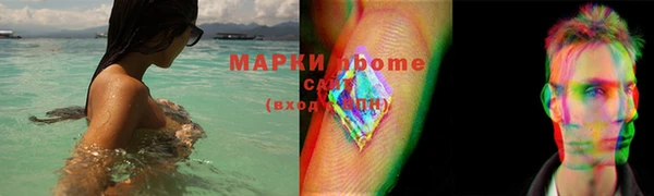 шишки Богородицк