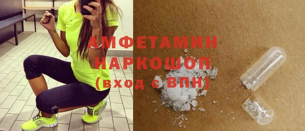 шишки Богородицк