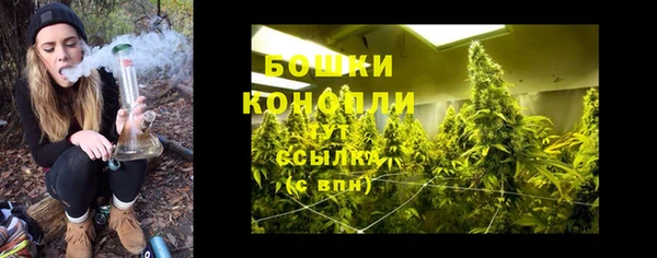 ГАЛЛЮЦИНОГЕННЫЕ ГРИБЫ Богданович