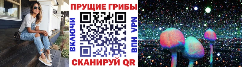 darknet Telegram  Жуковка  Псилоцибиновые грибы MAGIC MUSHROOMS  где можно купить   blacksprut маркетплейс 